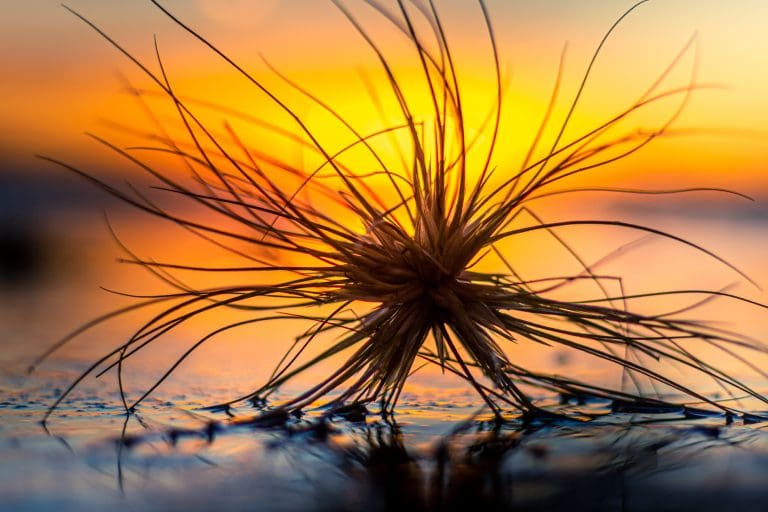 Gerroa seven mile beach Shoalhaven South Coast NSW stock print licence license andy hutchinson south coast nsw australia landscape photography