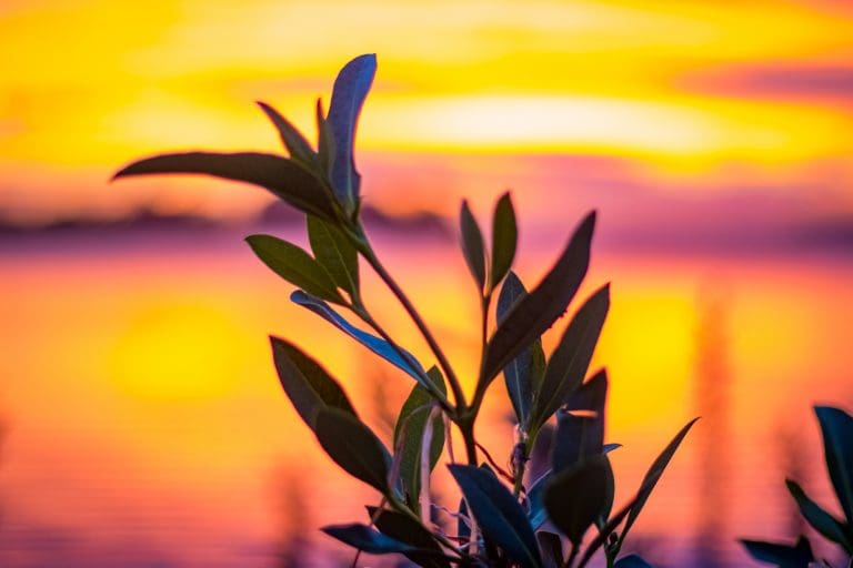 Jervis Bay Shoalhaven South Coast NSW stock print licence license andy hutchinson south coast nsw australia landscape photography