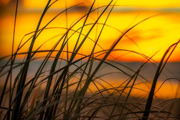 Shoalhaven Heads print stock licence license