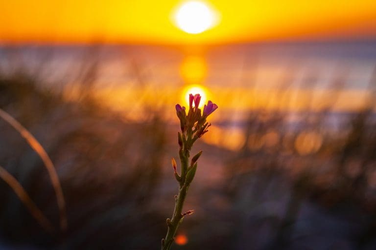 Shoalhaven Heads print stock licence license