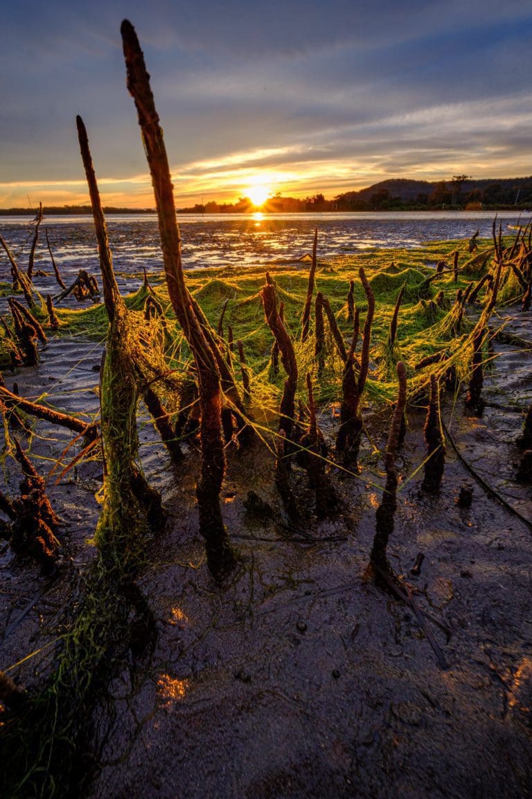 Shoalhaven Heads sunset by Andy Hutchinson