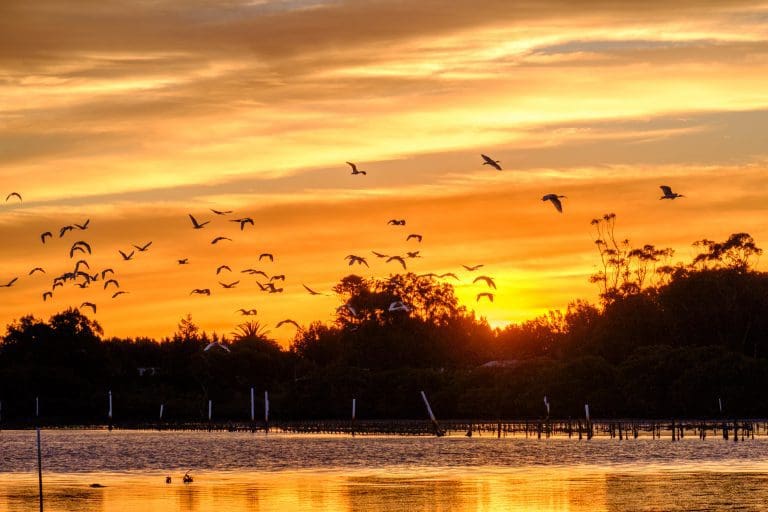 Shoalhaven Heads sunset by Andy Hutchinson