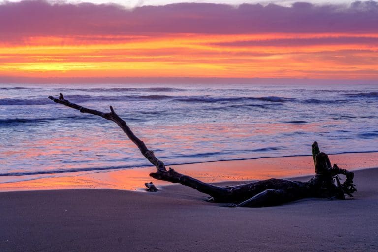 Shoalhaven Heads sunrise on Seven Mile Beach