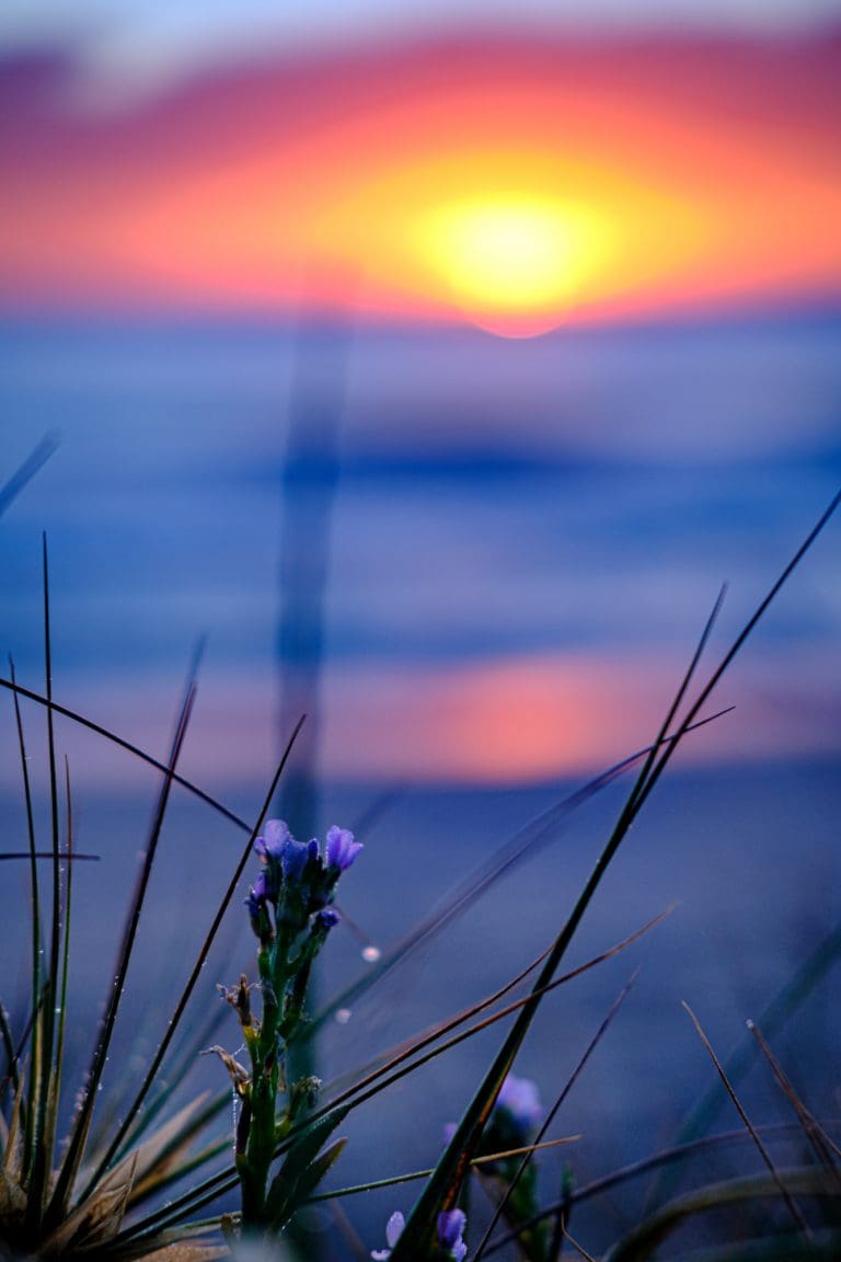 Shoalhaven Heads sunrise on Seven Mile Beach