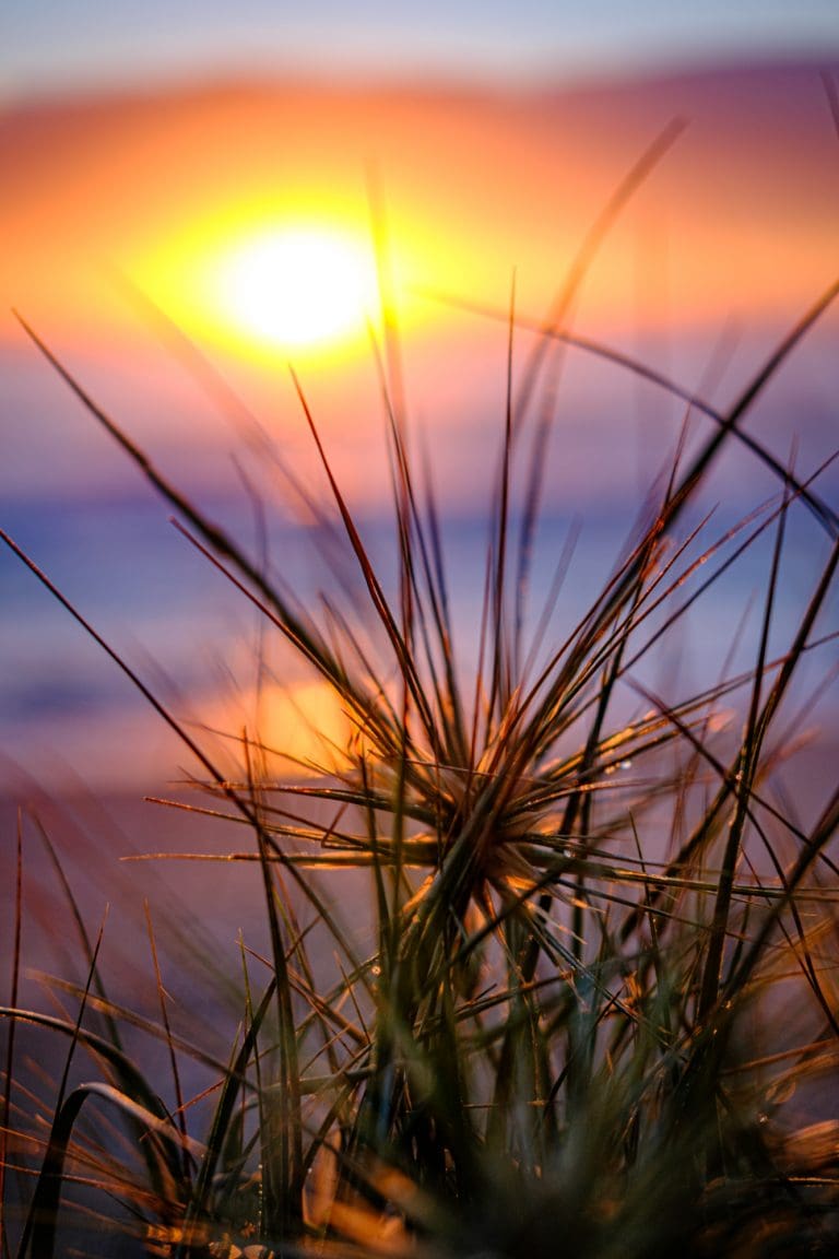 Shoalhaven Heads sunrise on Seven Mile Beach
