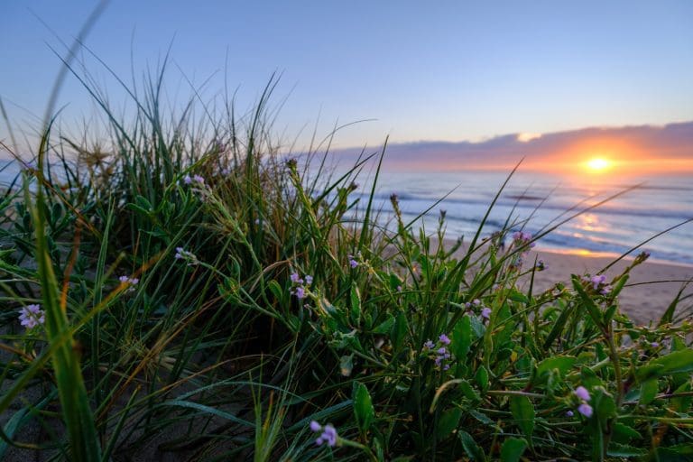 Shoalhaven Heads sunrise on Seven Mile Beach