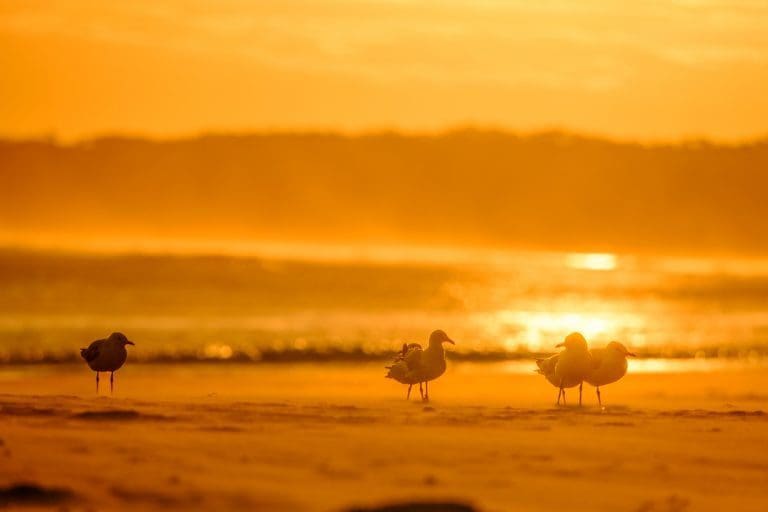 Gerroa seven mile beach sunset landscape photography by Andy hutchinson print stock licence license