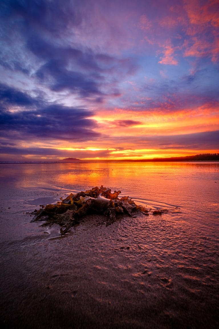 gerroa seven mile beach south coast nsw australia landscape photography by andy hutchinson stock licence license print