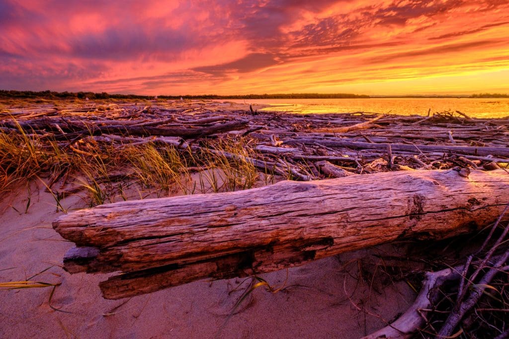 Sunset of the Year at the Estuary